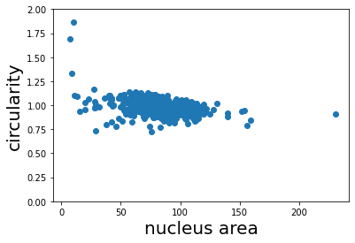 ../_images/segmenting_and_measuring_nuclei_10_0.png