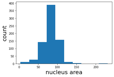 ../_images/segmenting_and_measuring_nuclei_8_1.png