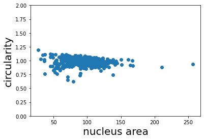 ../_images/segmenting_and_measuring_nuclei_stardist_10_0.png