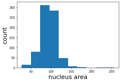 ../_images/segmenting_and_measuring_nuclei_stardist_8_1.png